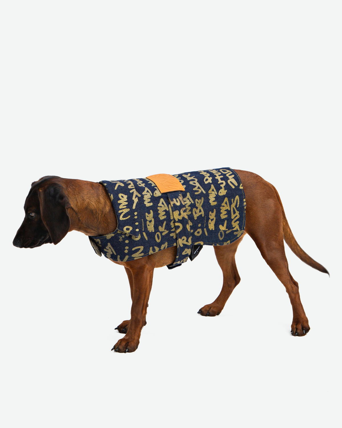 Walé Adeyemi Snoop Denim Dog Jacket, alternate product view