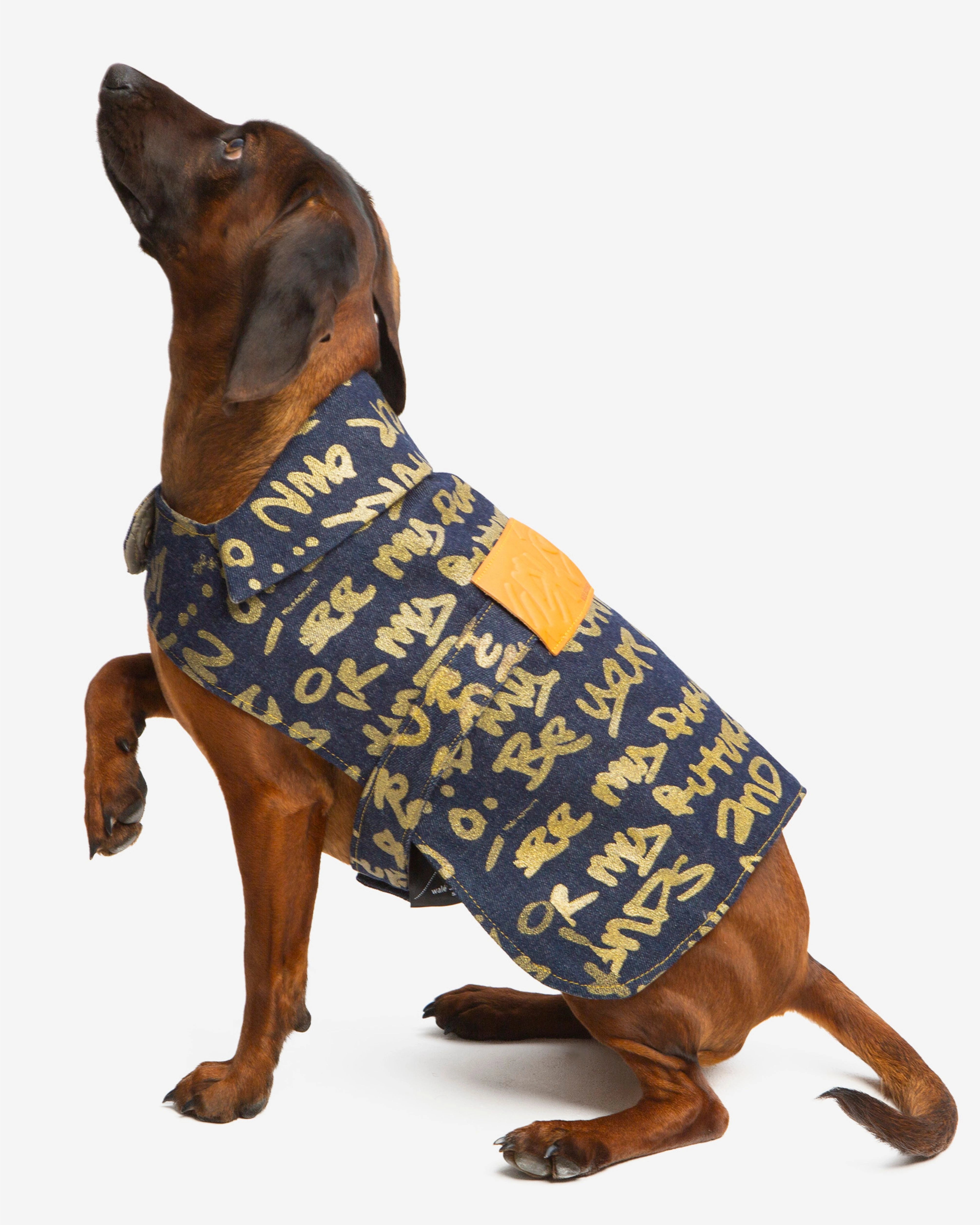 Dog wearing the Walé Adeyemi Snoop Denim Dog Jacket, alternate view