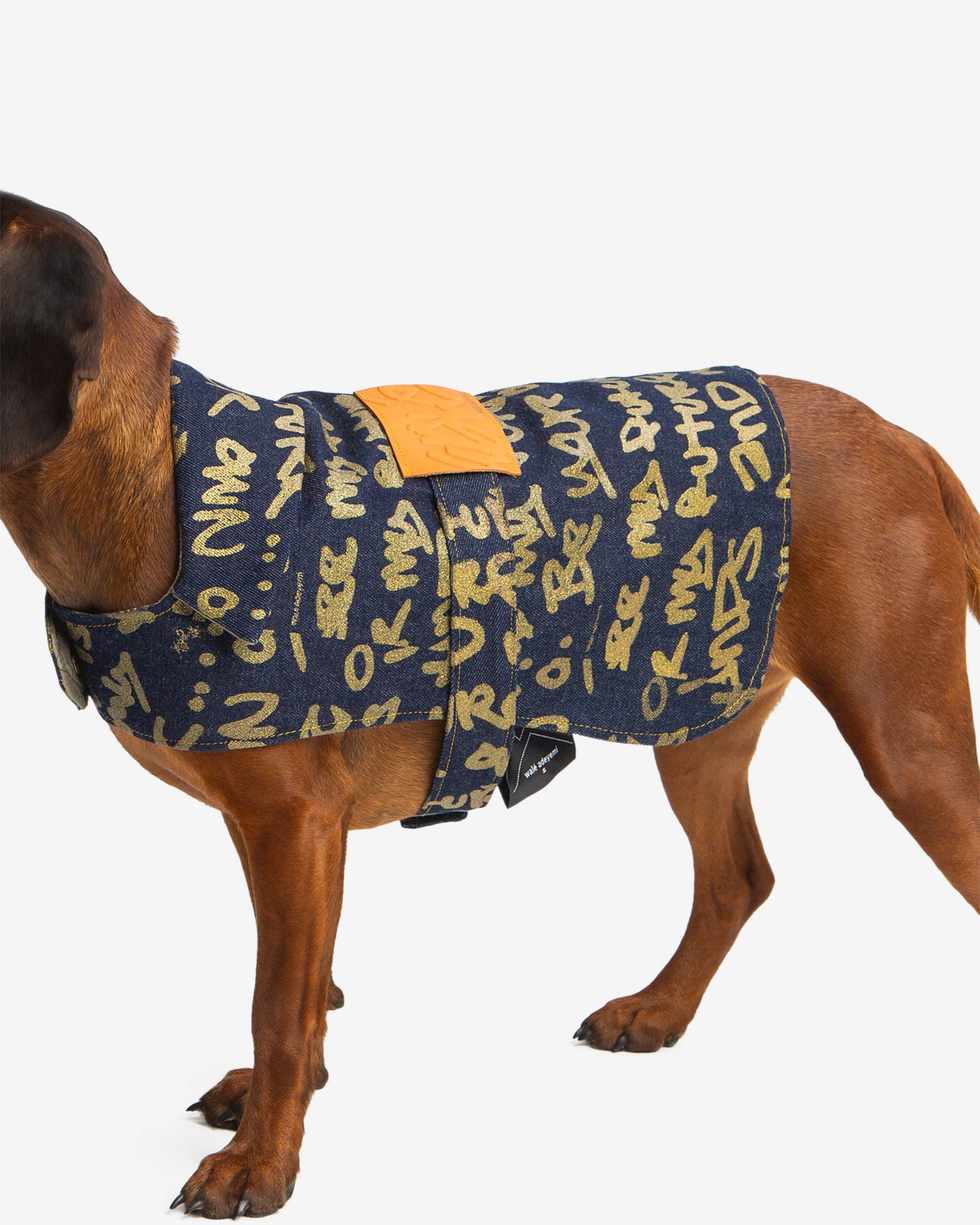 Dog wearing the Walé Adeyemi Snoop Denim Dog Jacket, back view