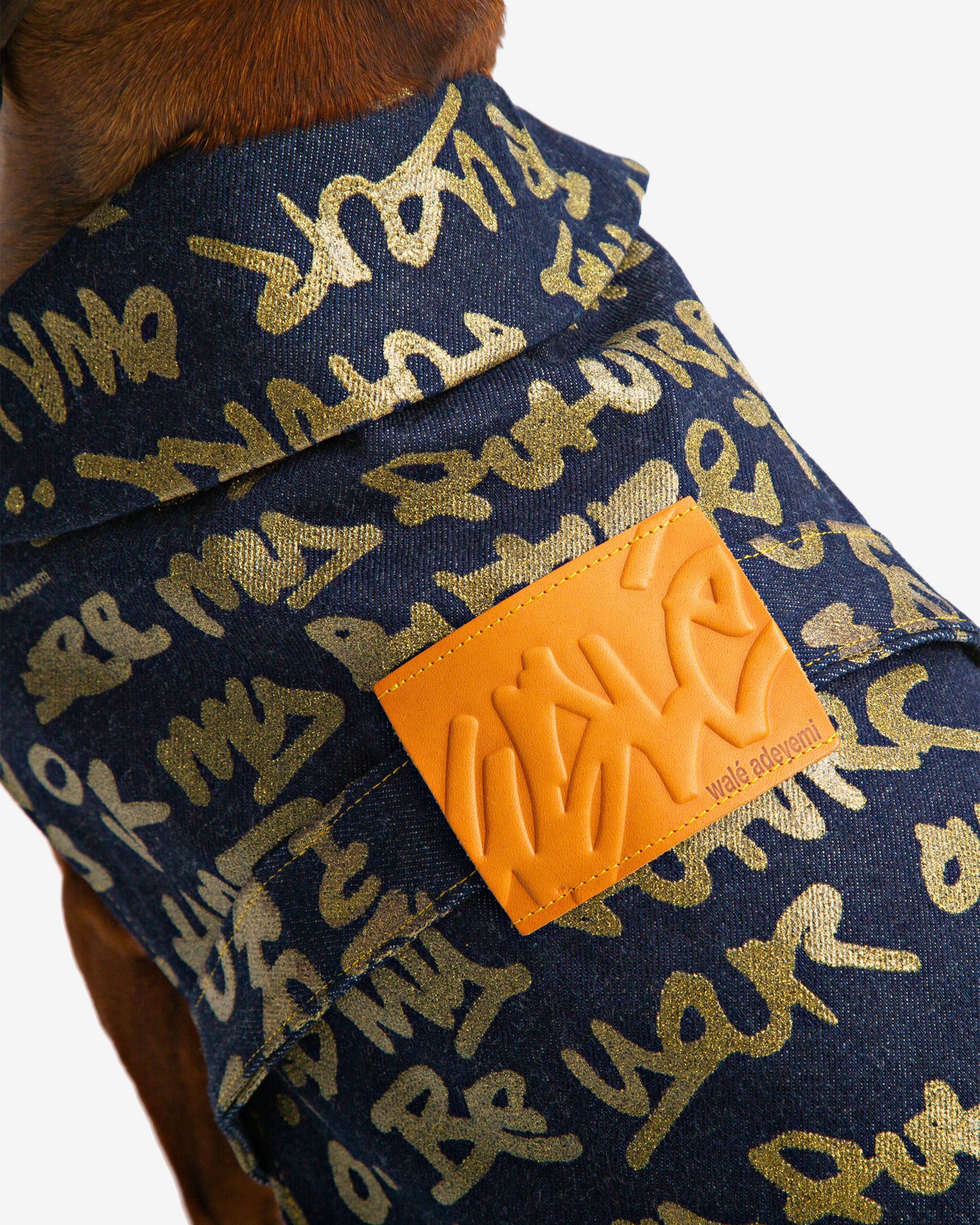 Dog wearing the Walé Adeyemi Snoop Denim Dog Jacket, side view