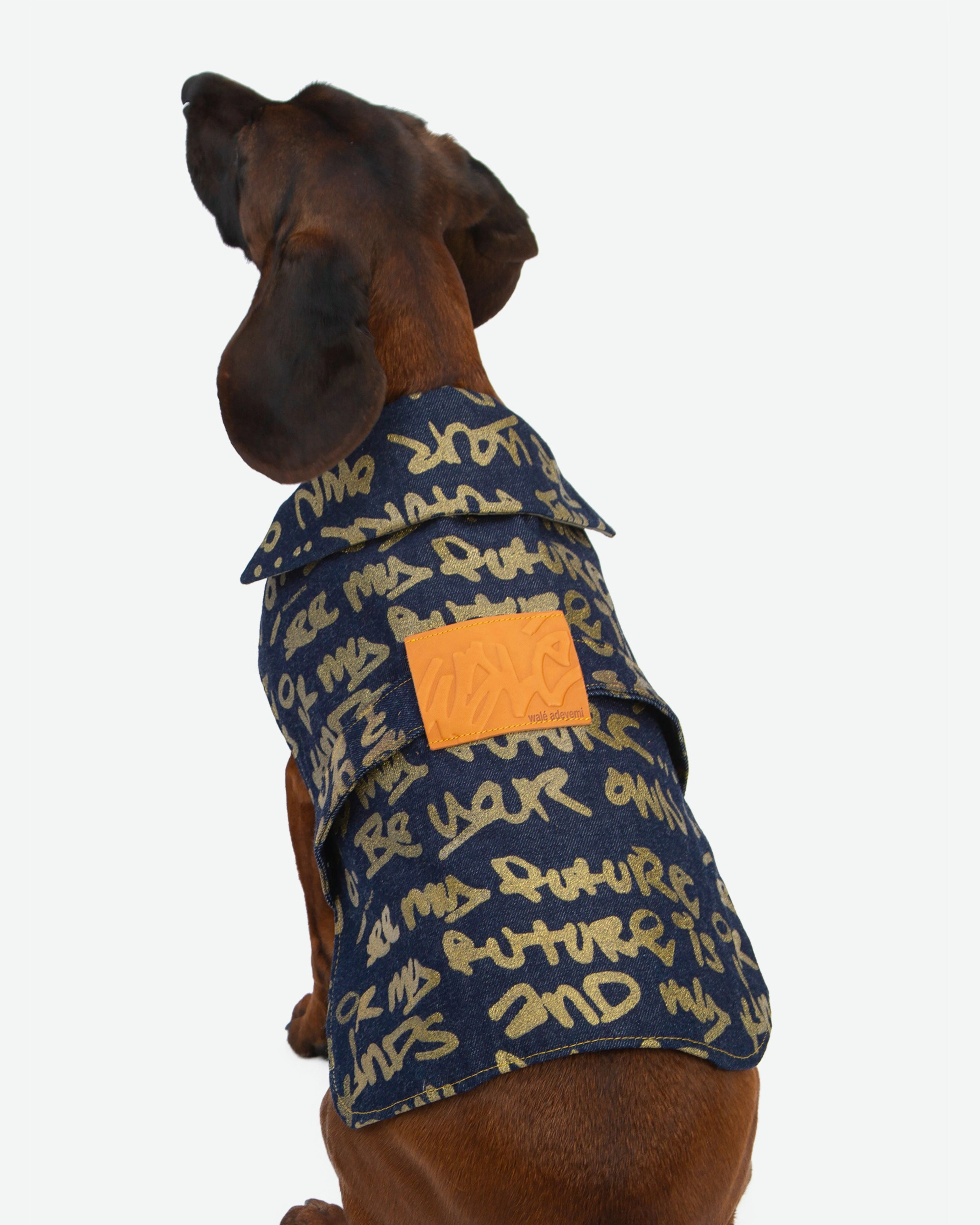 Walé Adeyemi Snoop Denim Dog Jacket, front product view