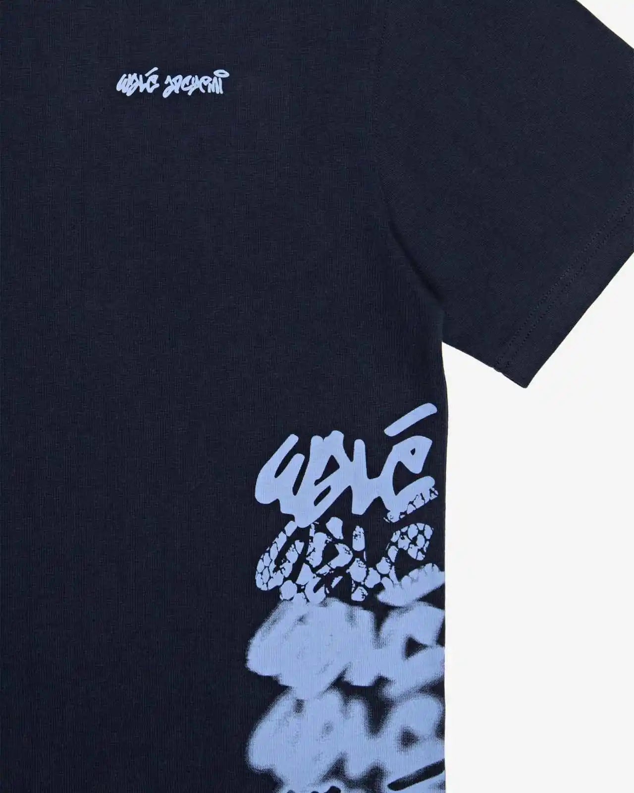 Close-up of the print on the Walé Adeyemi Column T-shirt in Blue/Light Blue